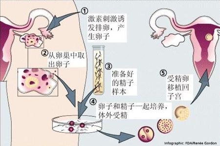 苏主任